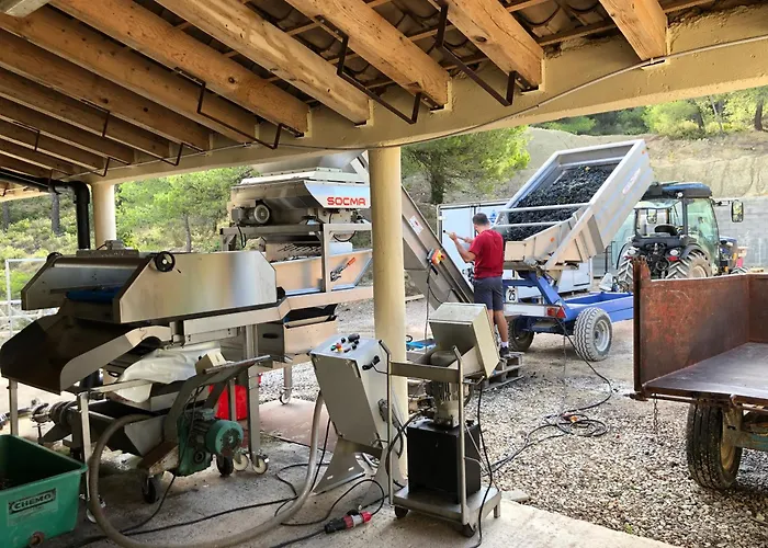 Château Catherine de Montgolfier B&B et Gites