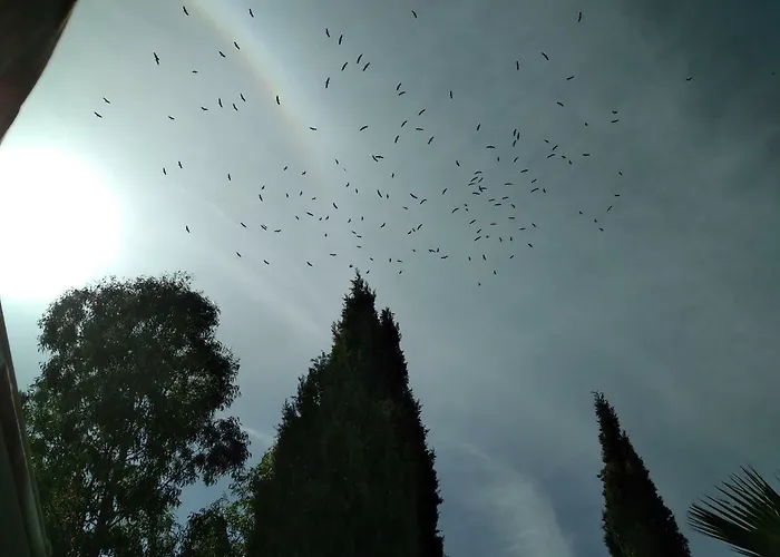 Villa Le Clos Fleuri